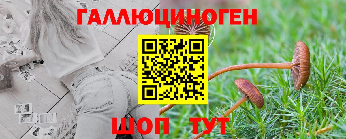 Узловая  Галлюциногенные грибы MAGIC MUSHROOMS  Вход с VPN  Галлюциногенные грибы Magic Shrooms 